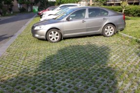 八字植草草坪磚塑料模具施工案例